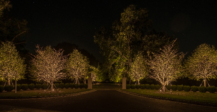 Baltimore Maryland Exterior Landscape Lighting