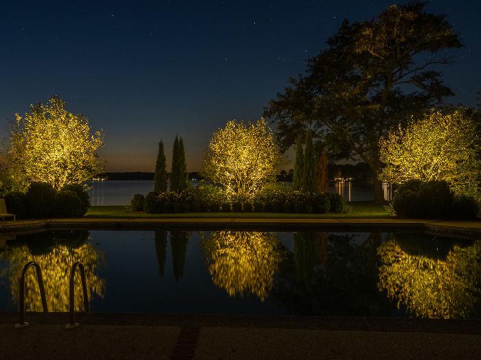 Dorchester Maryland Tree Landscape Lighting