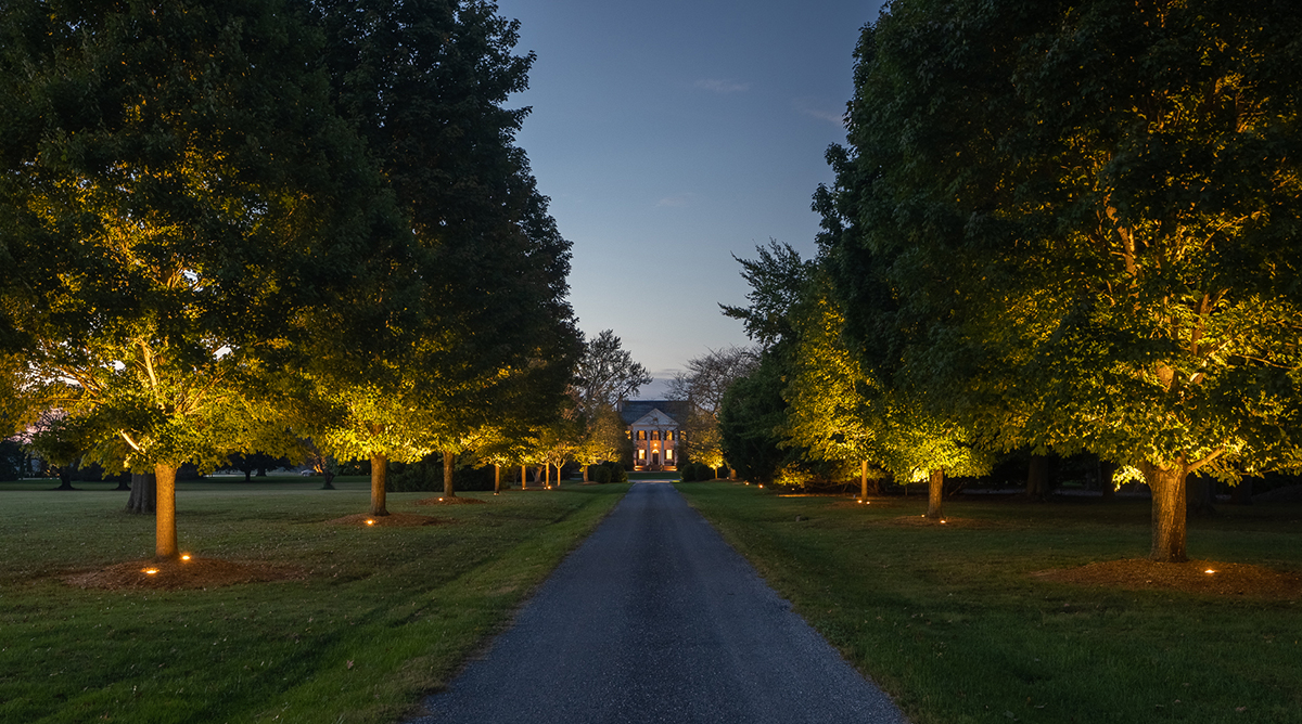 Driveway Landscape Lighting MD DC VA DE