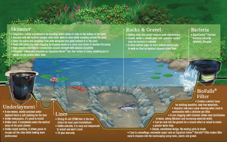 Ecosystem Pond Installation Maryland