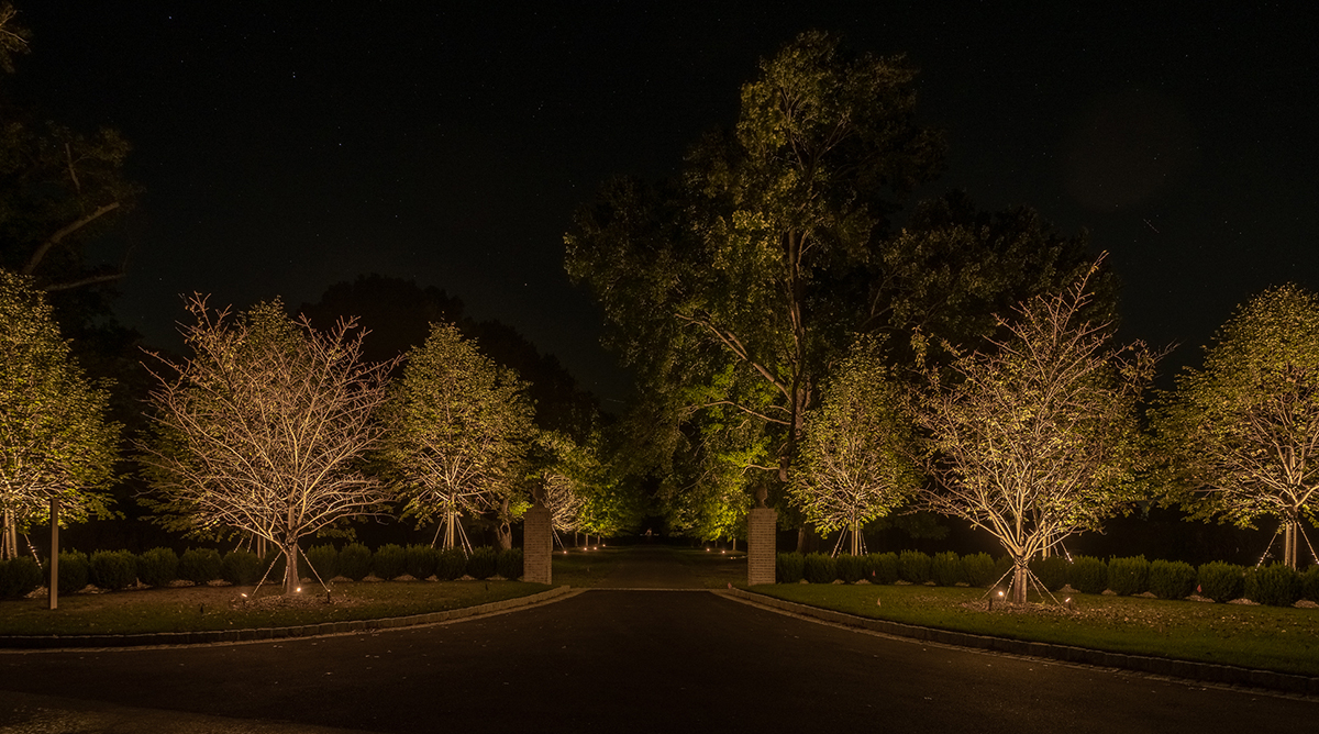 Exterior Landscape Lighting MD DC VA DE