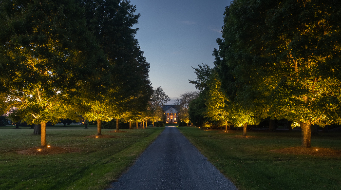 Fauquier Virginia Driveway Landscape Lighting