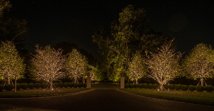 Howard Maryland Exterior Landscape Lighting