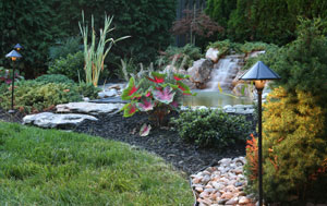 Landscape Lighting Carroll County MD